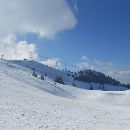 Appartement Hedonic à Kopaonik Extérieur photo