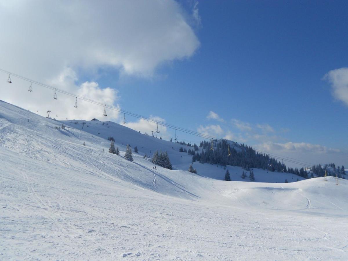 Appartement Hedonic à Kopaonik Extérieur photo